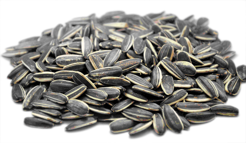 pile of sunflower seeds